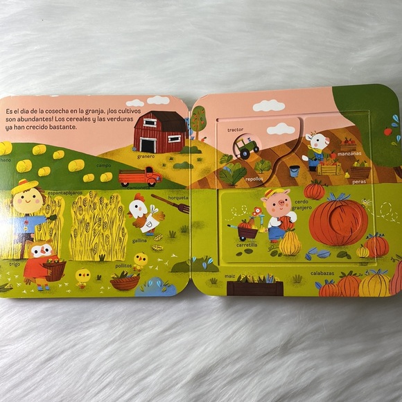 Baby/Toddler/Children Board Book in Spanish " Los Nombres de las Cosas" Tapitas - Picture 15 of 16